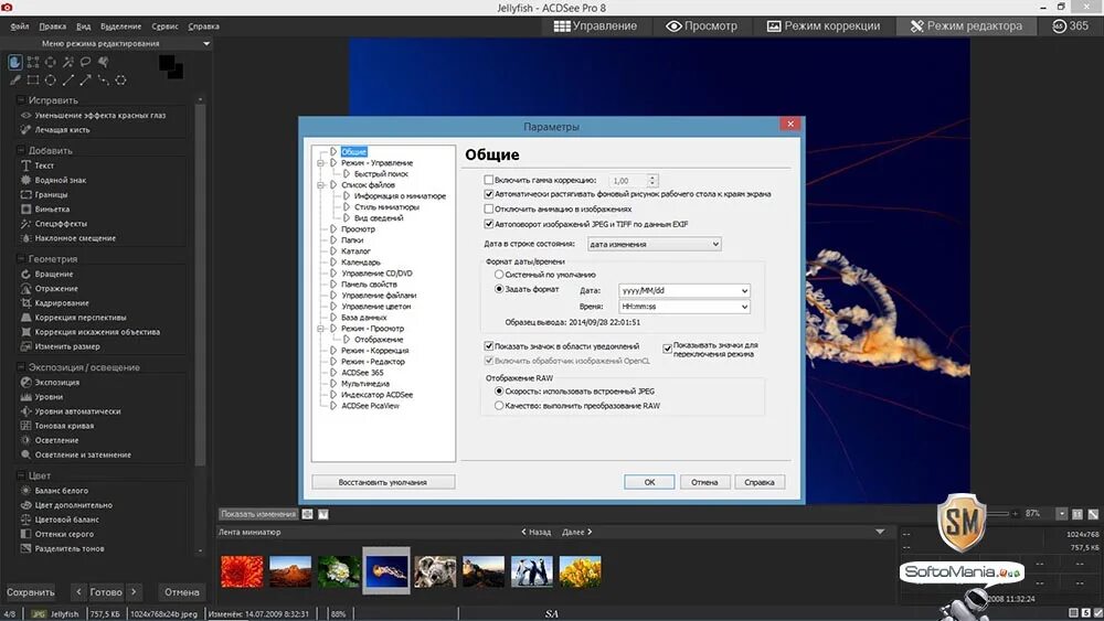 Acdsee pro 10 русская версия. ACDSEE Pro 10. ACDSEE 2 Windows 2000. ACDSEE значки форматов изображений. ACDSEE Pro 10 Guide инструкция.