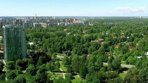 Тореза 118