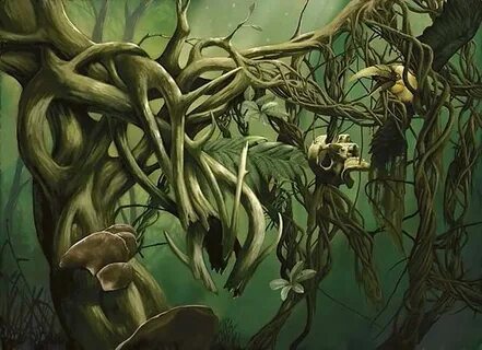 Has its roots