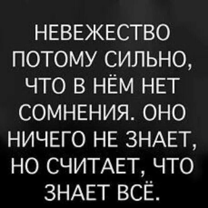 Почему сильная потому что. Невежество цитаты. Афоризмы про необразованность. Цитаты о невежестве людей. Фразы про невежество.