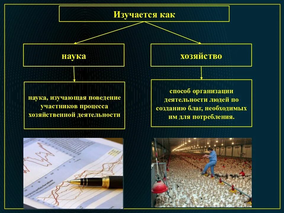 Наука изучающая поведение участников хозяйственной деятельности. Изучается как наука хозяйство. экономика наука и хозяйство. наука как хозяйство. экономика как наука.