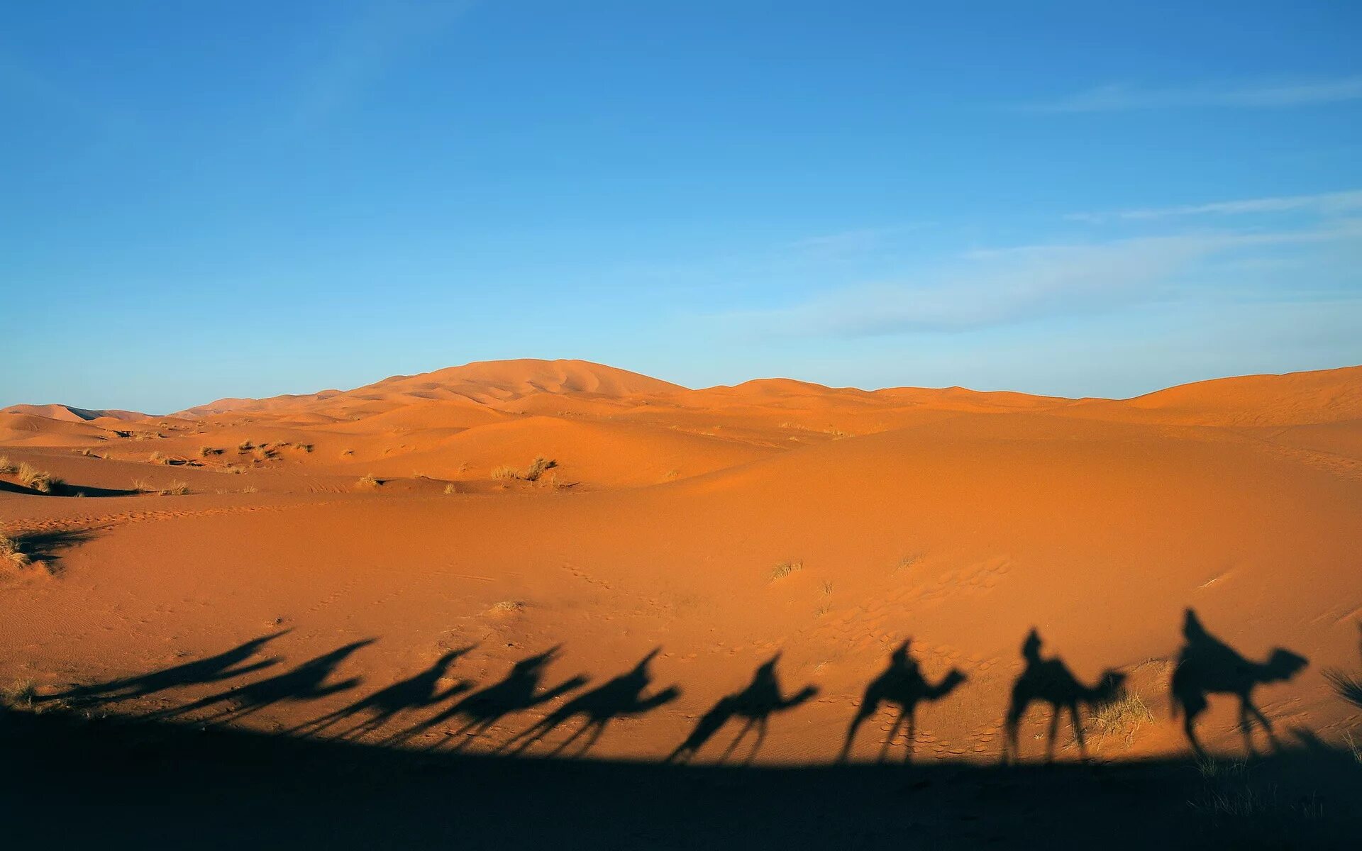 Небо караван. Пустыня Каракум Оазис. Караван Мекка пустыня. Алашаньская пустыня. Пустыня эрг Эр Рави миражи.