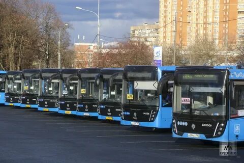 Где автобус города