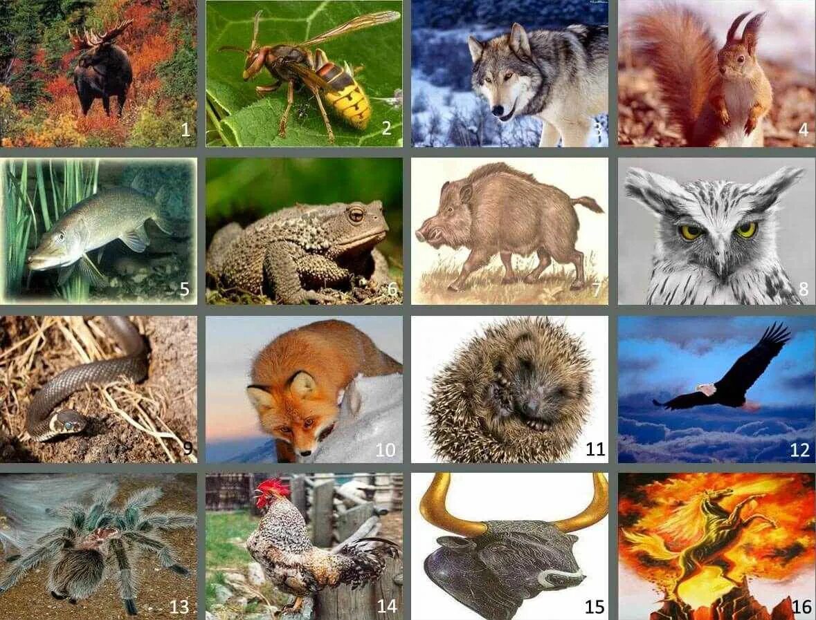 старославянский гороскоп. новый год по славянскому календарю. славянский гороскоп года. славянский круголет чертоги. славянский календарь животных по годам.