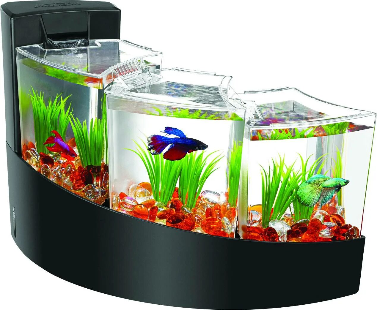 После покупки аквариума. Аквариумы Aqueon 2 Gallon Betta Falls Aquarium Kit. Аквариум Box Betta 1.3. Комплект Aqueon Betta Falls. Аквариум для рыбки Бетта.