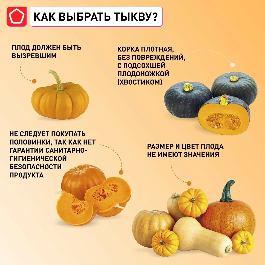Чем полезна тыква. Тыква тушеная польза. Тыква тушеная польза. Чем полезна тыква. Чем полезна тыква.