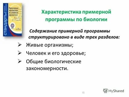 Приблизительная программа