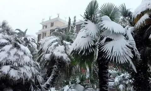 Погодные условия в сочи