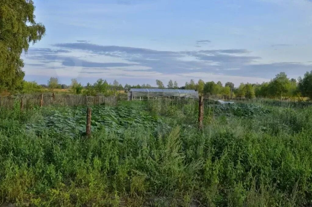 Участки молодежное. Село Алексеевка Омская область. Кормиловский район Омская область деревня новая деревня. Алексеевка Кормиловского района Омской области. Омская область Кормиловский район деревня веселый привал.