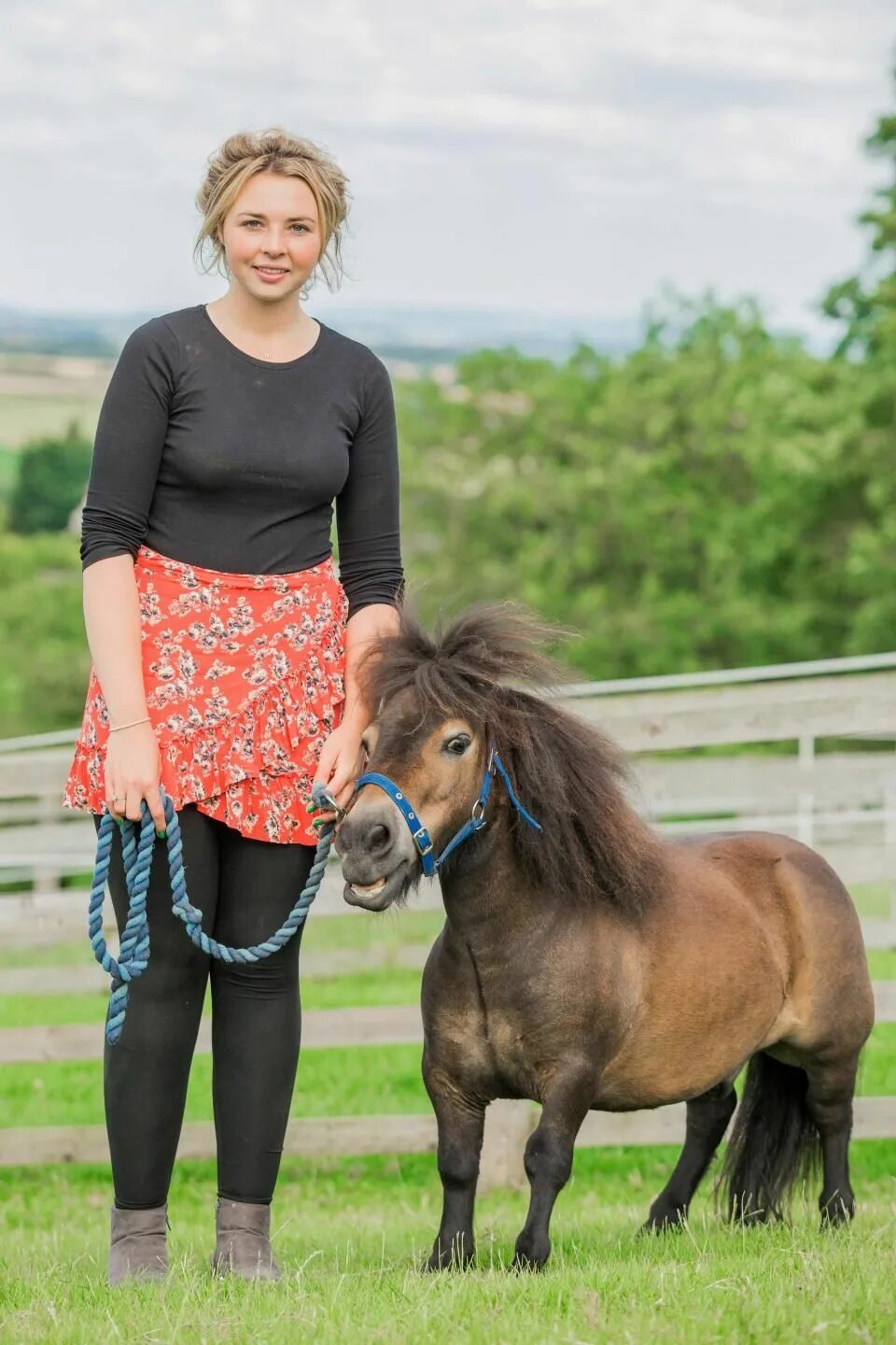 Mini pony. Фалабелла лошадь. Пони Фалабелла. Пони лошадь Фалабелла. Пони(карликовая карликовая лошадь ).