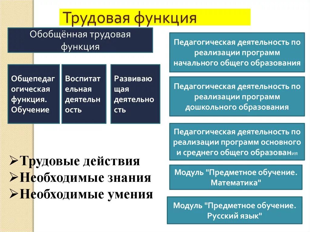 Основные трудовые действия. Трудовая функция. Трудовая функция работника это. Функций трудовой функцией. Трудовая функция это определение.