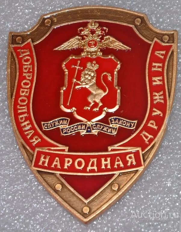 Система дружинник
