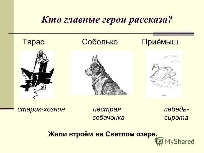 Краткое содержание приемыш 4. Приемыш главные герои. Главный герой рассказа приёмыш. Приёмыш мамин Сибиряк герои. Приёмыш главнве герояи.