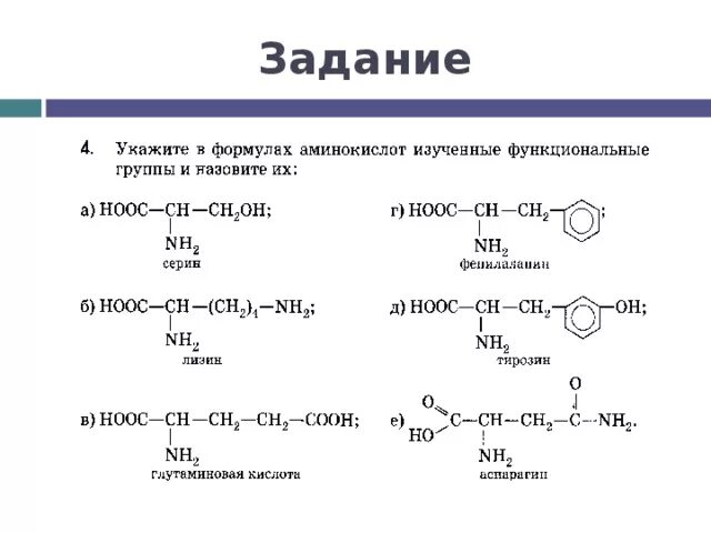 Схему реакции образования трипептида. Общая формула аминокислот. Структурные формулы всех аминокислот. Аминокислот составьте структурную формулу. Функциональной группой аминов является