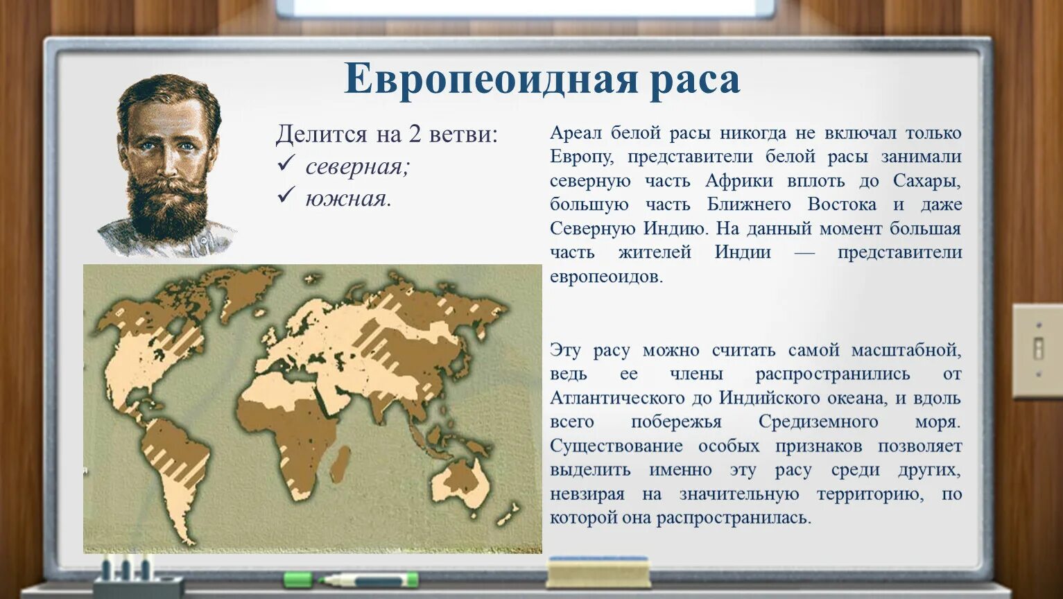 Расы и народы география 5. Ареал обитания европеоидной расы. Европеоидная раса характеристика. Европеоидная раса народы. Человеческие расы европеоидная.