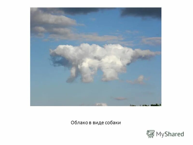 выпадают из слоистых облаков