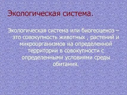 Совокупность видов растений называют