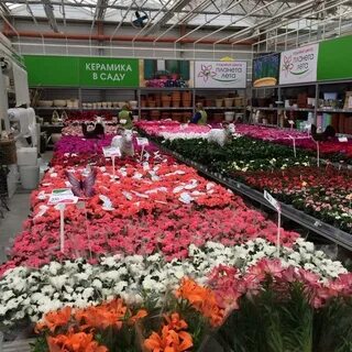 Садовый центр планета лета