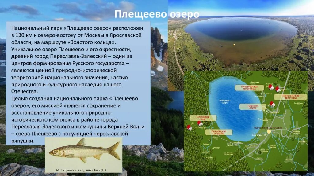 Плещеева озера в каком городе. Национальный парк Плещеево озеро Переславль Залесский. Переславль-Залесский достопримечательности Плещеево озеро. Глубина озера Плещеево Переславль Залесский. Плещеево озеро парк город Переславль Залесский.