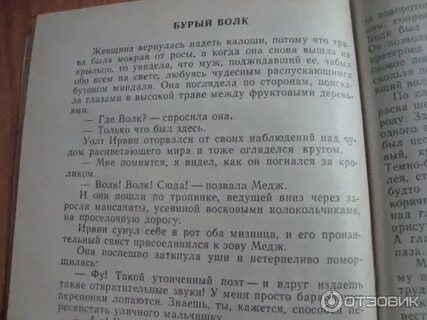 Бурый волк джек лондон кроссворд