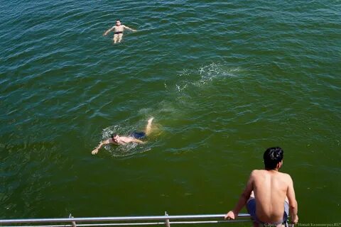 Вода в море в калининграде сейчас