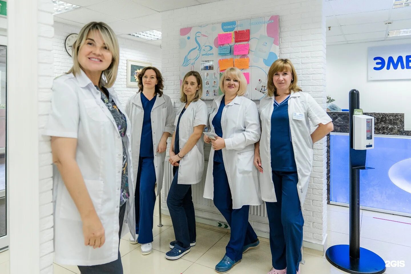 Эмбрио минск. Эмбрио минск. Эмбрио краснодар. Эмбрио минск. Эмбрио краснодар официальный сайт.