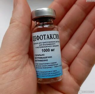 Антибиотик цефотаксим