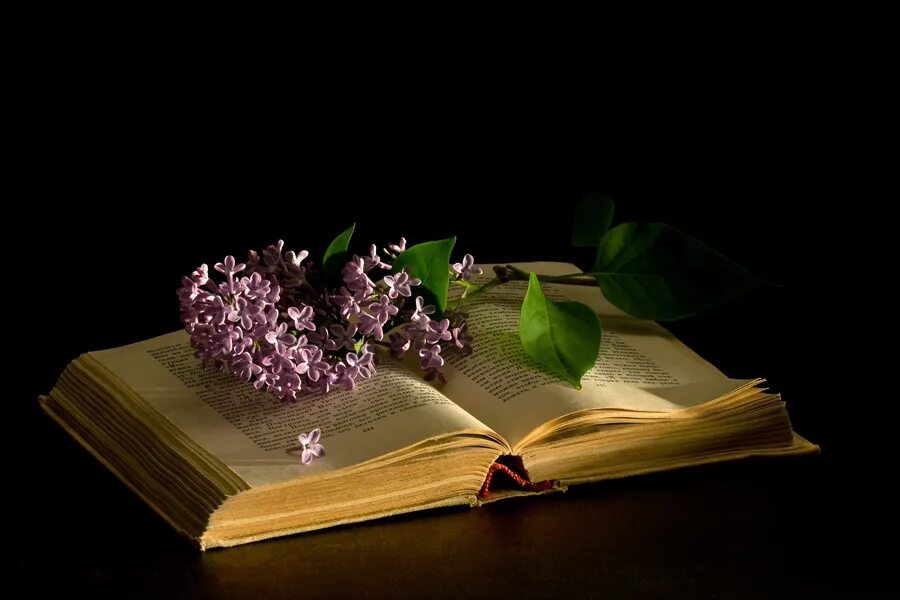 Поэзия. Стихи о старых книгах. Красивые стихи в книге. Раскрытая книга стихов. «натюрморт с книгами».