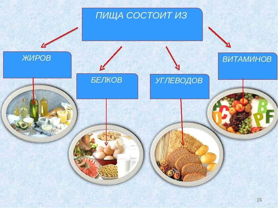 Почему витамины нельзя отнести к питательным веществам. Питательные вещества белки жиры углеводы. питание белки жиры углеводы. что такое белки и углеводы в питании. белки жиры углеводы витамины.