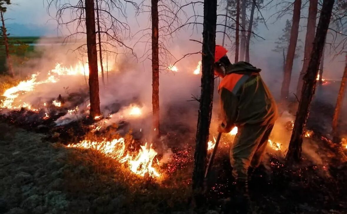 Лесная сгорела. Лесные пожары в Сибири 2020. Пожары в Сибири 2019. Лесные пожары в Сибири (2015). Россия Сибирь 2019 пожар.