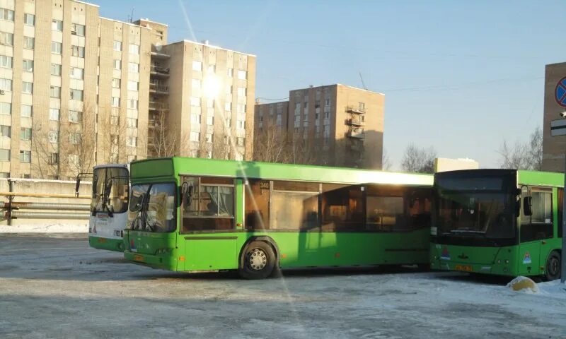 Автобусы Тюмень. Автобусный парк Тюмень. Новые автобусы в Тюмени. Списанные автобусы Тюмень. Автобус тюмень сайт