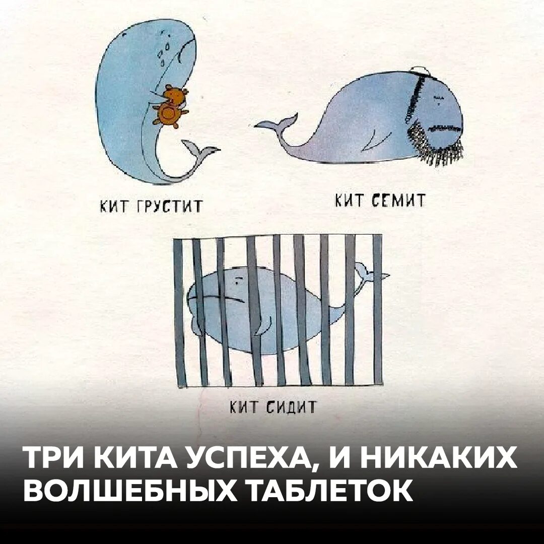 Киты в небе. Кит 52 герца. Живопись кашалот. Кит на украинском. Кит и кот.