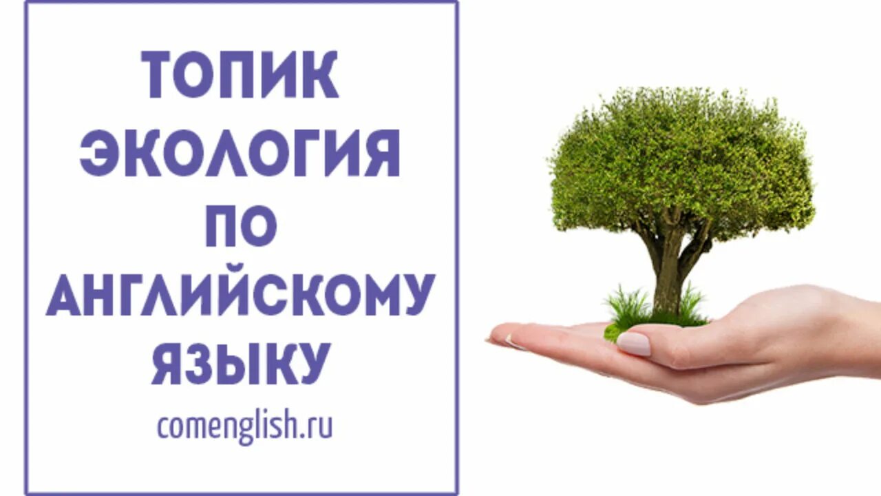 Защита окружающей среды англ. Топик ecology. Экология на английском. Экология. Защита окружающей среды на английском.