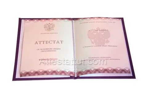 Окончание 9 класса какое образование