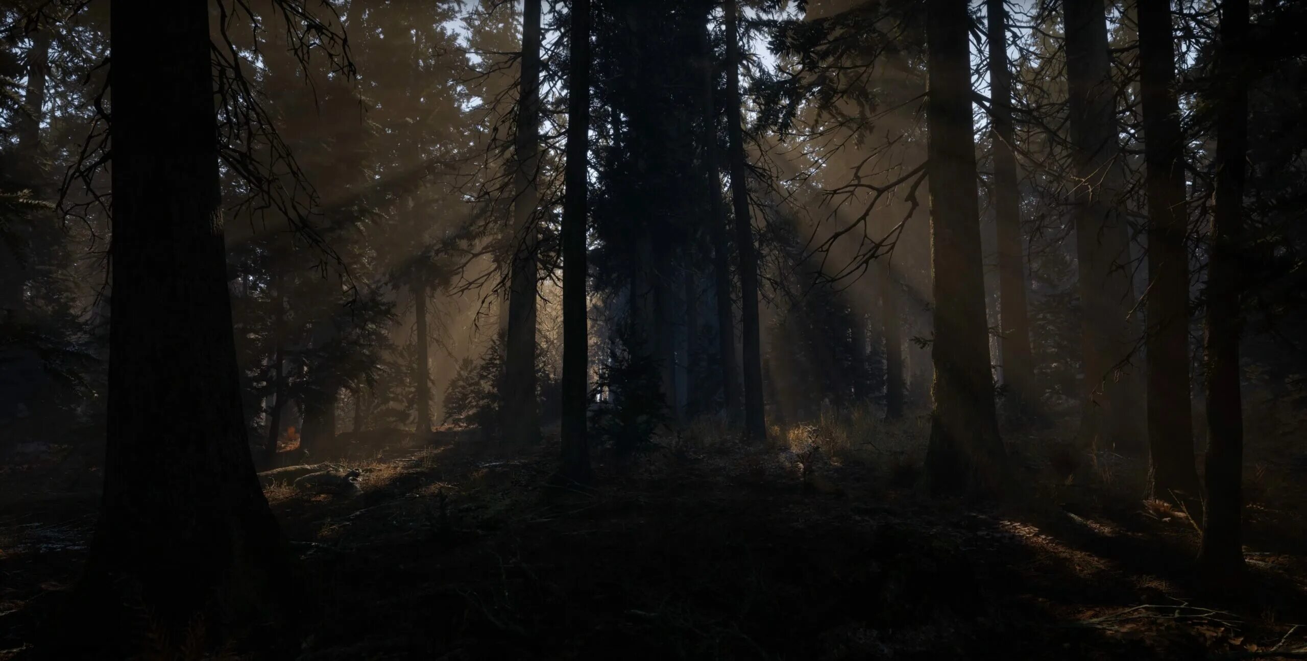 Unreal engine 5.1. Unreal engine 5 лес ультра рендер реализм. вас обновление леса.