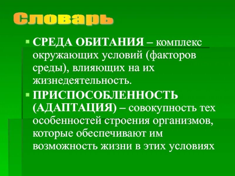 Среда обитания. Среда обитания организма это совокупность. Среда обитания это совокупность факторов. Совокупность условий жизни организмов это.