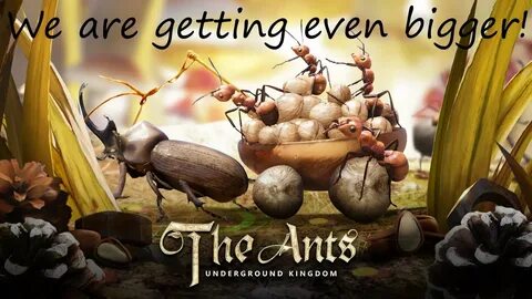 The ants underground