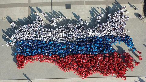 Цвета российского флага 2024
