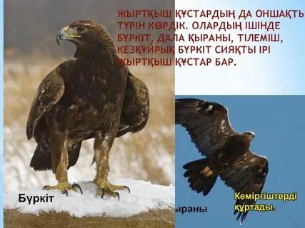 Жетілген порно видео с большие жопы