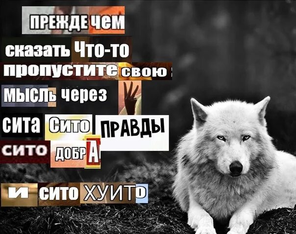 Мысли преследовали его но он быстрее