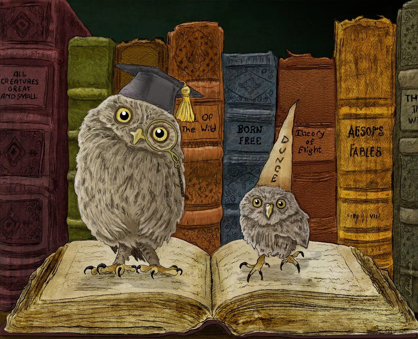 Сова с книгой картинки. Умная сова. сова с книгой. сова с книжкой. совенок с книжкой.