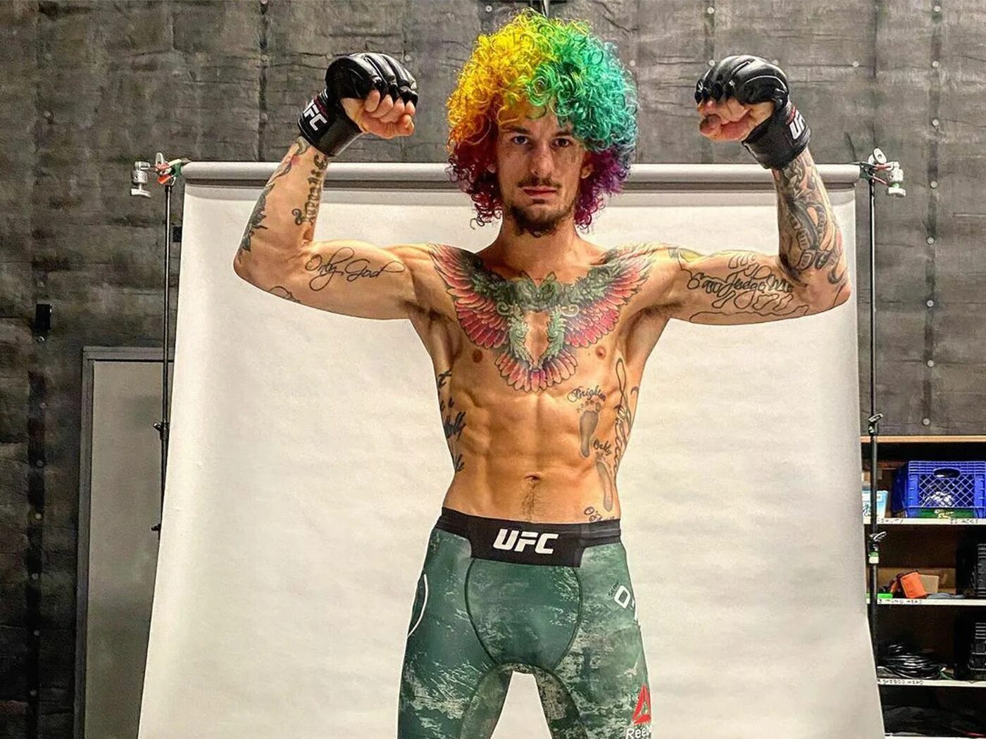 Шон ufc. Шон о мэлли боец юфс. Боец ufc шон о'мэлли. Шон ufc. Шон ufc.