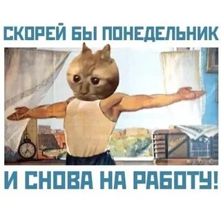 Кот пиздос