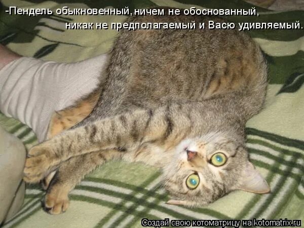 Ничем не обоснованный. Пример обоснованного риска. Ничем не обоснованный. Картинки с фано прикольные. Ничем не обоснованный.