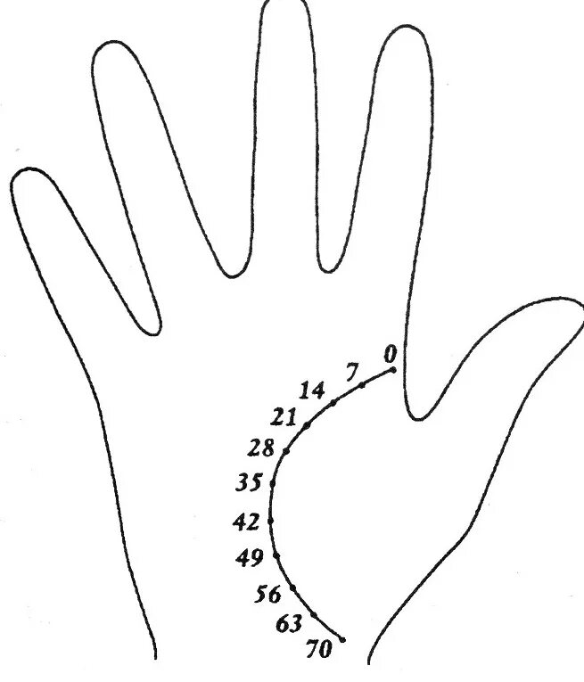 Где ладонь. Хиромантия годы на линии жизни. Хиромантия линия жизни по годам. Датировка линии жизни на руке. Хиромантия Возраст на линии жизни.