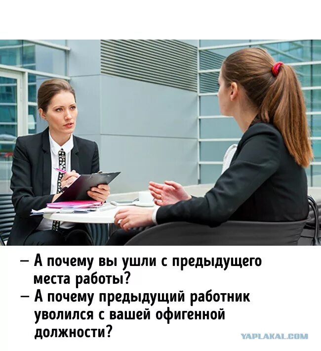 Шутки про собеседование. Собеседование прикол. Удачное собеседование. Собеседование юмор