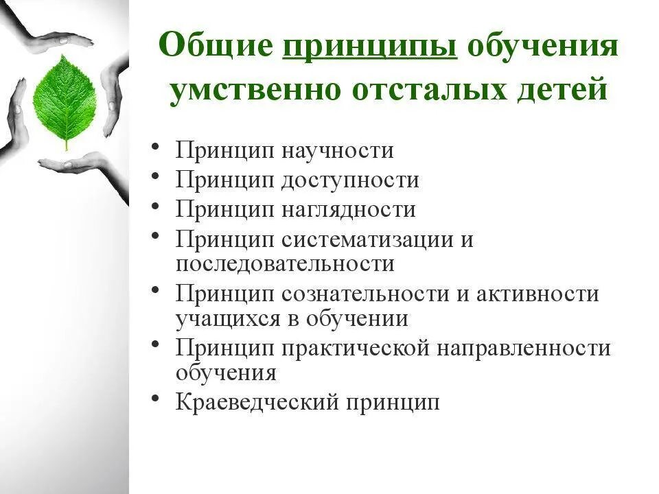 Принципы обучения детей с умственной отсталостью