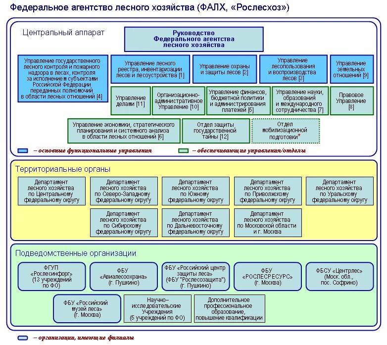 Структура управления лесным хозяйством РФ. Структура лесного хозяйства России в схеме. Федеральное агентство лесного хозяйства структура. Структура управления лесами РФ схема.