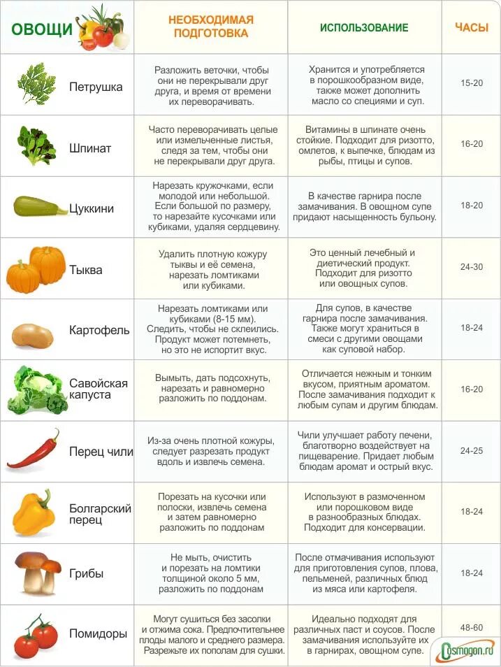 Какие овощи нужно есть каждый день