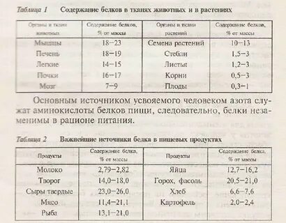 Содержание белка в овощах